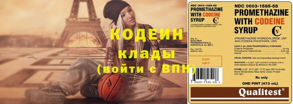 молекула духа Дмитров