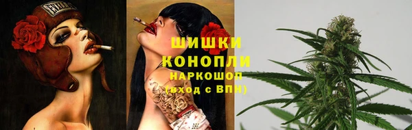 твердый Дмитриев