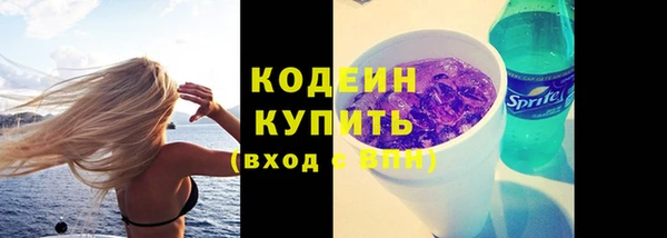 твердый Дмитриев