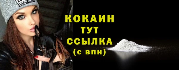 молекула духа Дмитров