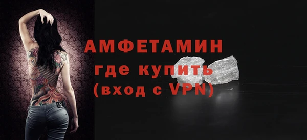 твердый Дмитриев