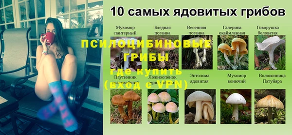 молекула духа Дмитров