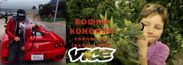 молекула духа Дмитров