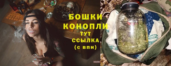 молекула духа Дмитров
