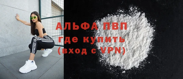 молекула духа Дмитров