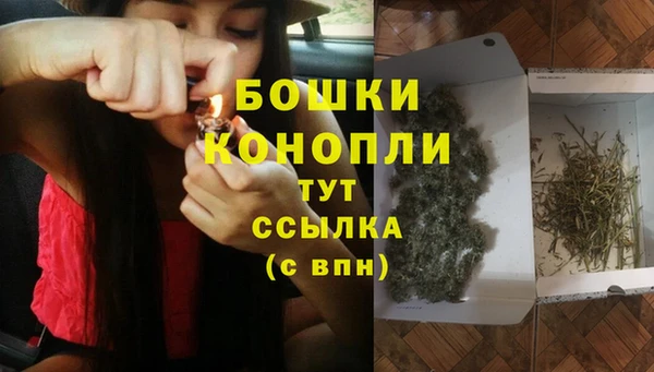 молекула духа Дмитров