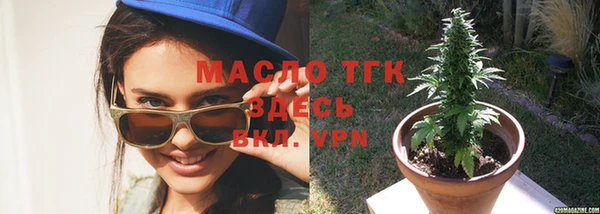 твердый Дмитриев