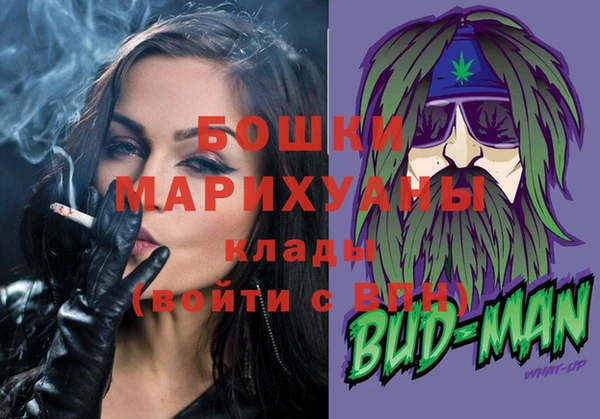 молекула духа Дмитров